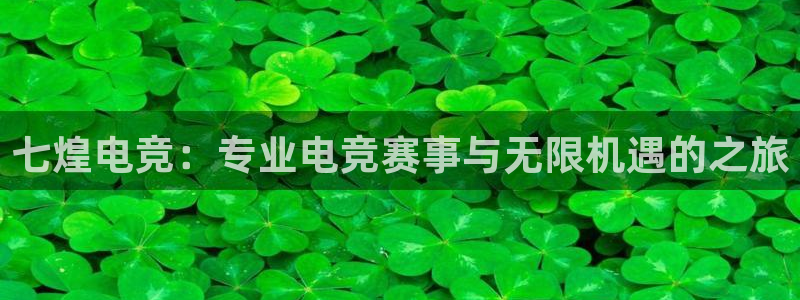 k1电竞在哪下单