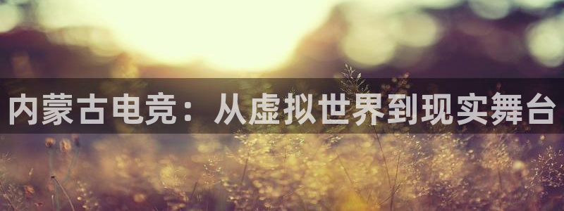 k1电竞在哪下单