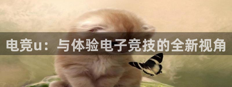 k1电竞比赛：电竞u：与体验电子竞技的全新视角