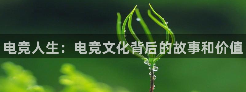 k1电竞在哪下单