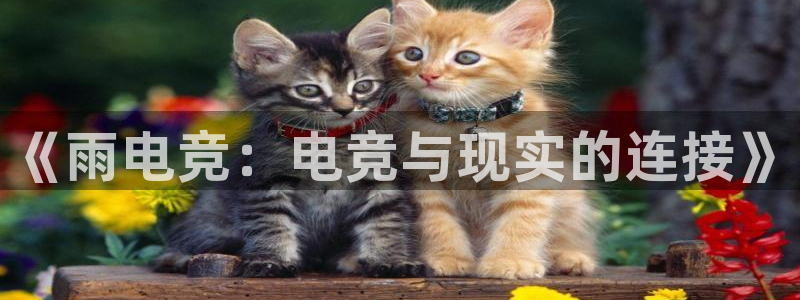 k1电竞俱乐部：《雨电竞：电竞与现实的连接》