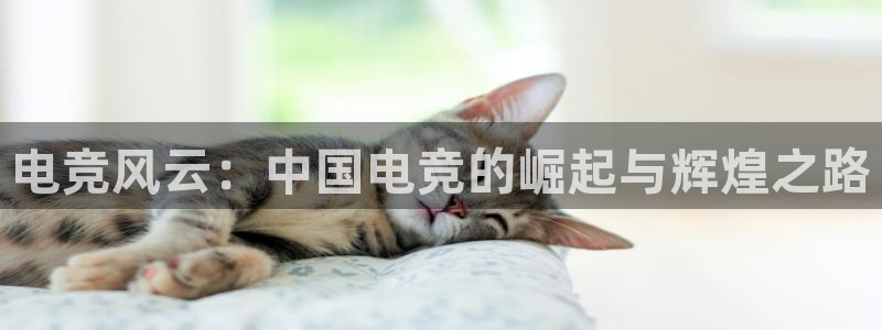 k1电竞在哪下单